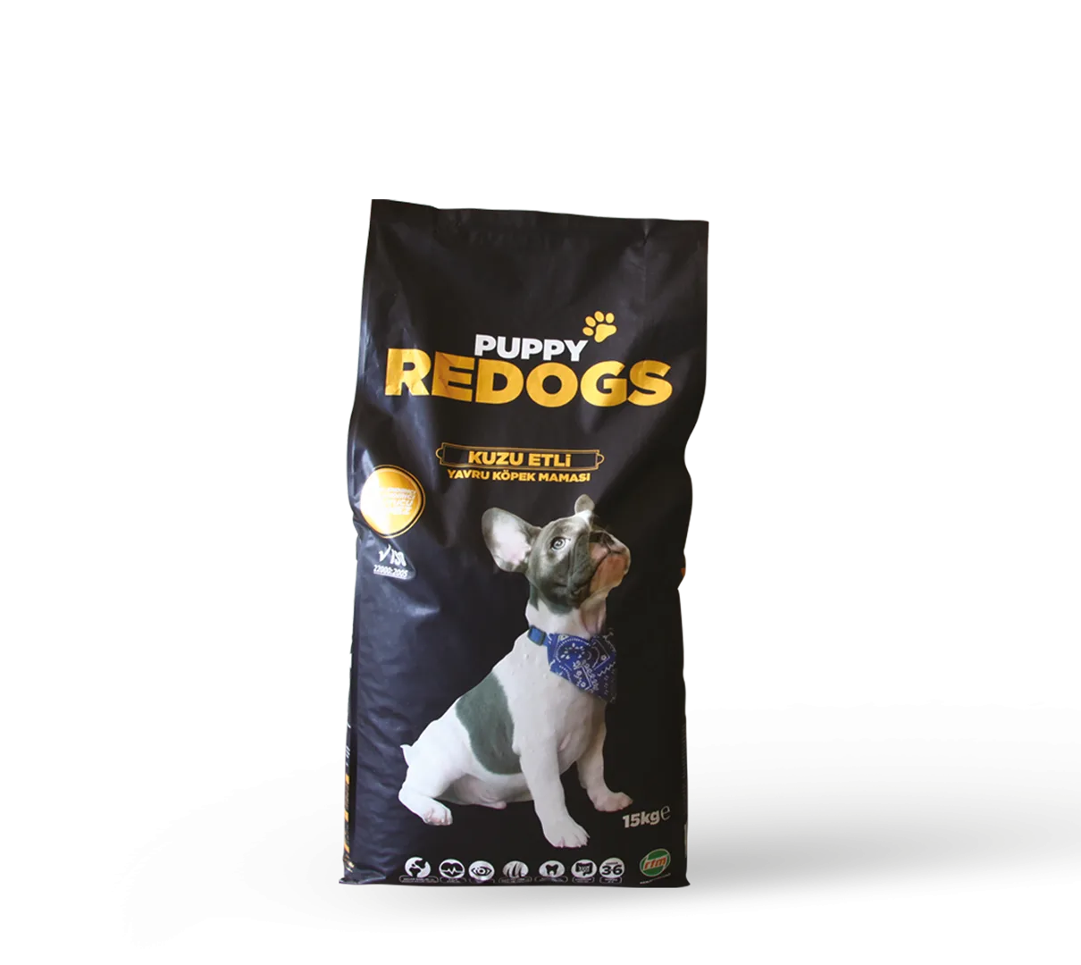 Redogs Puppy